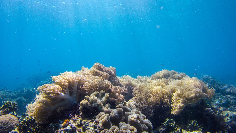 Janji Laut Resort Tanahwangko Kültér fotó
